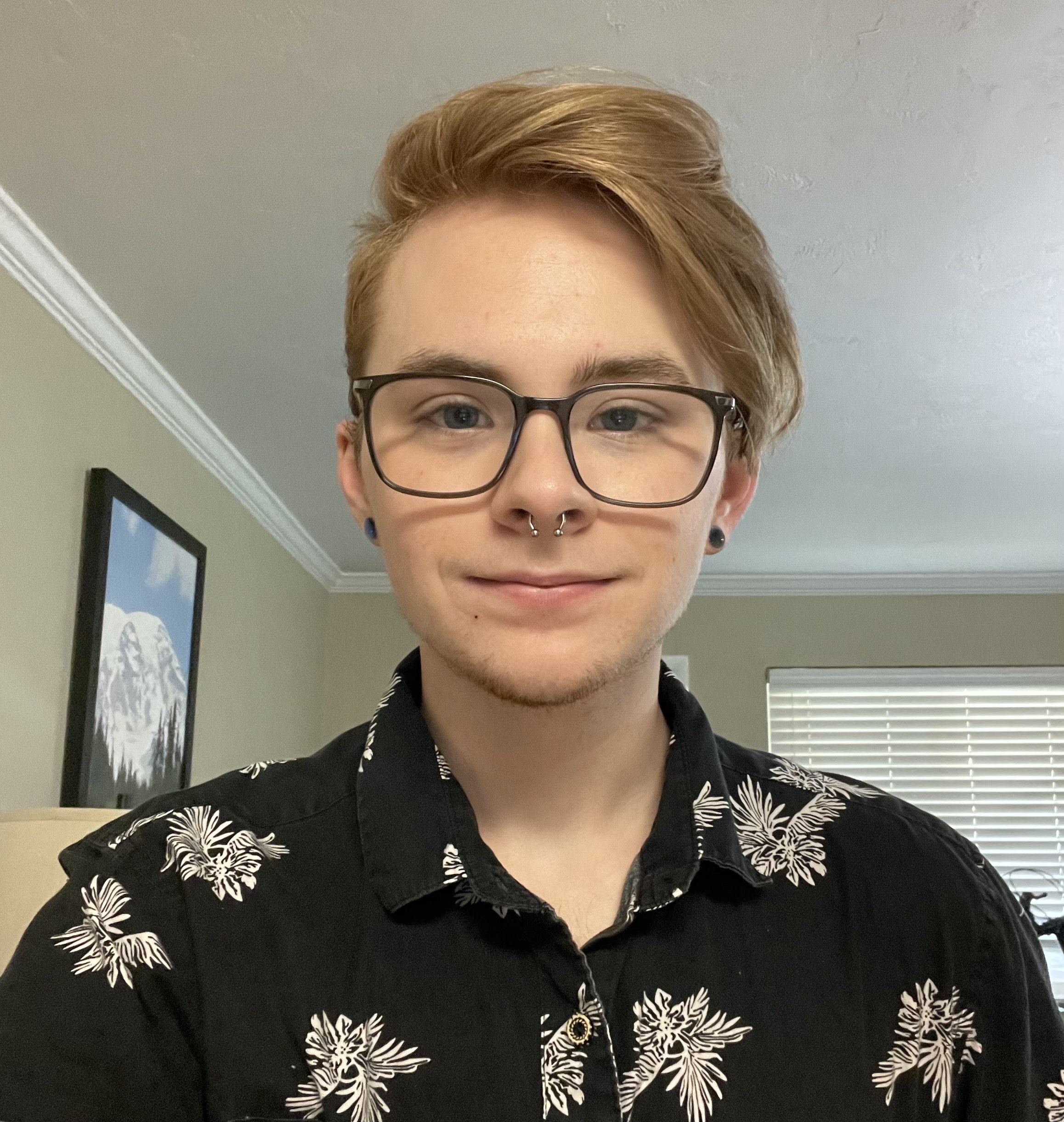 Picture of Grey